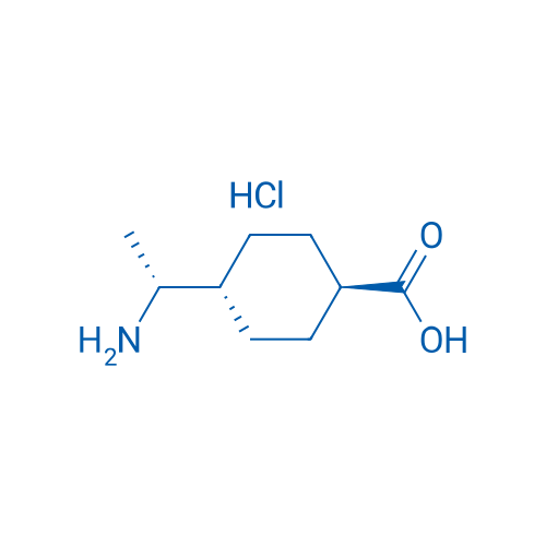 Trans-4-((R)-1-aminoethyl)cyclohexane-1-carboxylic acid hydrochloride 1g