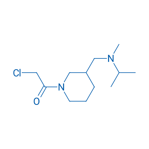 2-Chloro-1-(3-((isopropyl(methyl)amino)methyl)piperidin-1-yl)ethanone 1g
