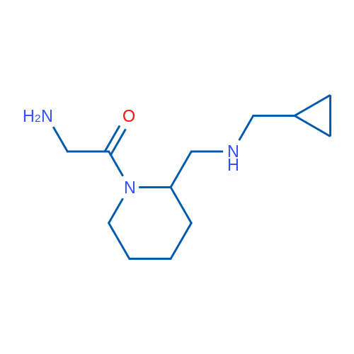 2-Amino-1-(2-(((cyclopropylmethyl)amino)methyl)piperidin-1-yl)ethanone 1g