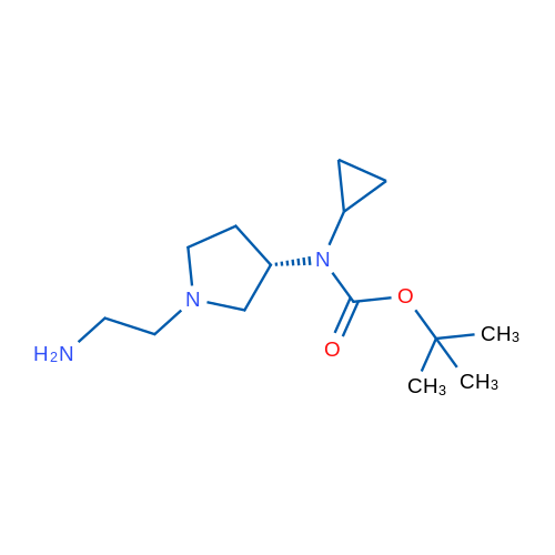(S)-tert-Butyl (1-(2-aminoethyl)pyrrolidin-3-yl)(cyclopropyl)carbamate 1g