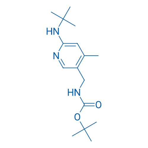 tert-Butyl ((6-(tert-butylamino)-4-methylpyridin-3-yl)methyl)carbamate 1g