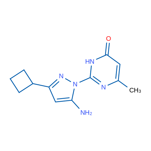 2-(5-Amino-3-cyclobutyl-1H-pyrazol-1-yl)-6-methylpyrimidin-4(3H)-one 1g