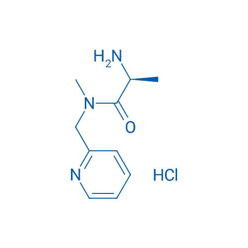 (S)-2-Amino-N-methyl-N-(pyridin-2-ylmethyl)propanamide hydrochloride 1g