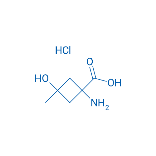 1-Amino-3-hydroxy-3-methylcyclobutane-1-carboxylic acid hydrochloride 1g