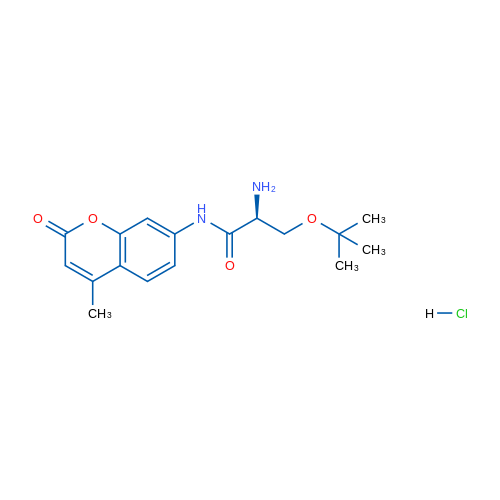 (S)-2-Amino-3-(tert-butoxy)-N-(4-methyl-2-oxo-2H-chromen-7-yl)propanamide hydrochloride 1g