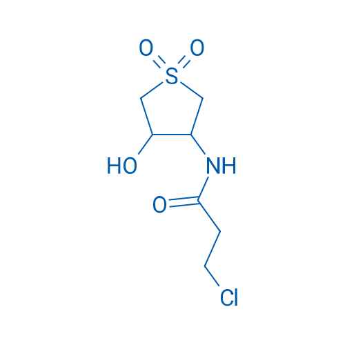 3-Chloro-N-(4-hydroxy-1,1-dioxidotetrahydrothiophen-3-yl)propanamide 1g