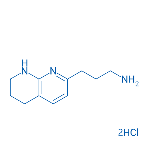 3-(5,6,7,8-Tetrahydro-1,8-naphthyridin-2-yl)propan-1-amine dihydrochloride 250mg
