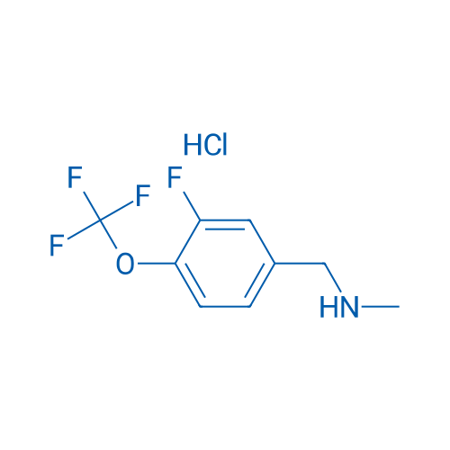 1-(3-Fluoro-4-(trifluoromethoxy)phenyl)-N-methylmethanamine hydrochloride 1g