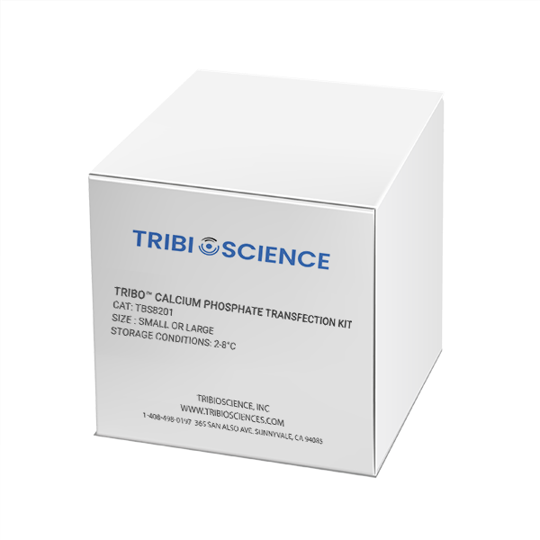 Tribo™ Calcium Phasphate Transfection Kit (Large)