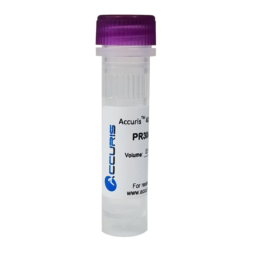 40mM dNTP Mix (10mM/80µm each), 2ml