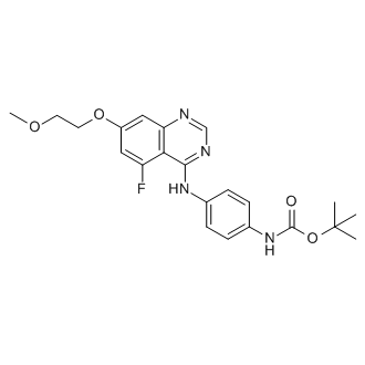 tert-Butyl (4-((5-fluoro-7-(2-methoxyethoxy)quinazolin-4-yl)amino)phenyl)carbamate