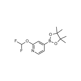 2-(Difluoromethoxy)-4-(4,4,5,5-tetramethyl-1,3,2-dioxaborolan-2-yl)pyridine