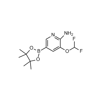 3-(Difluoromethoxy)-5-(4,4,5,5-tetramethyl-1,3,2-dioxaborolan-2-yl)pyridin-2-amine
