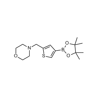 4-((4-(4,4,5,5-Tetramethyl-1,3,2-dioxaborolan-2-yl)thiophen-2-yl)methyl)morpholine