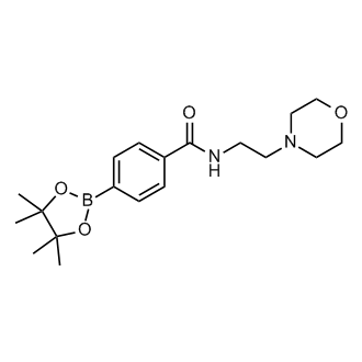 n-(2-Morpholinoethyl)-4-(4,4,5,5-tetramethyl-1,3,2-dioxaborolan-2-yl)benzamide