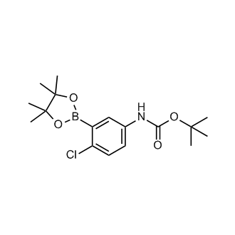 tert-Butyl (4-chloro-3-(4,4,5,5-tetramethyl-1,3,2-dioxaborolan-2-yl)phenyl)carbamate