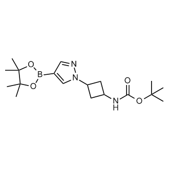 tert-Butyl (3-(4-(4,4,5,5-tetramethyl-1,3,2-dioxaborolan-2-yl)-1H-pyrazol-1-yl)cyclobutyl)carbamate