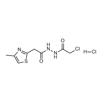 n'-(2-Chloroacetyl)-2-(4-methyl-1,3-thiazol-2-yl)acetohydrazide hydrochloride