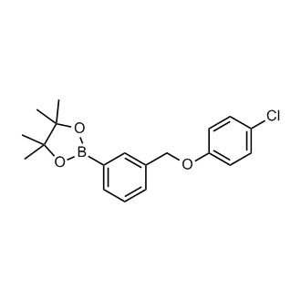 2-(3-((4-Chlorophenoxy)methyl)phenyl)-4,4,5,5-tetramethyl-1,3,2-dioxaborolane