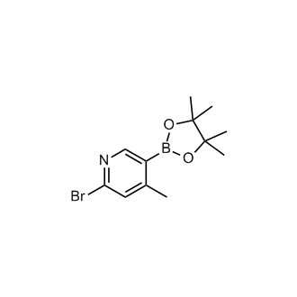 2-Bromo-4-methyl-5-(4,4,5,5-tetramethyl-1,3,2-dioxaborolan-2-yl)pyridine