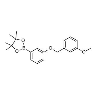 2-(3-((3-Methoxybenzyl)oxy)phenyl)-4,4,5,5-tetramethyl-1,3,2-dioxaborolane