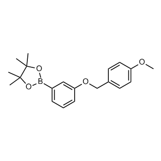 2-(3-((4-Methoxybenzyl)oxy)phenyl)-4,4,5,5-tetramethyl-1,3,2-dioxaborolane