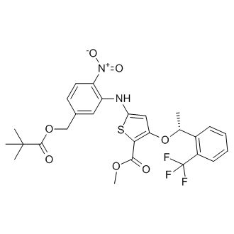 (R)-methyl 5-(2-nitro-5-(pivaloyloxymethyl)phenylamino)-3-(1-(2-(trifluoromethyl)phenyl)ethoxy)thiophene-2-carboxylate