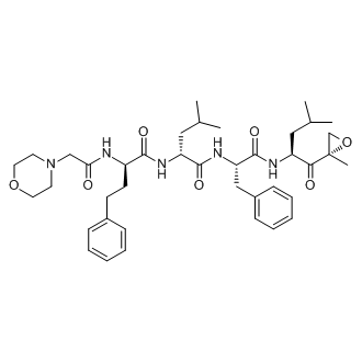 (R)-4-methyl-N-((S)-1-(((S)-4-methyl-1-((S)-2-methyloxiran-2-yl)-1-oxopentan-2-yl)amino)-1-oxo-3-phenylpropan-2-yl)-2-((R)-2-(2-morpholinoacetamido)-4-phenylbutanamido)pentanamide