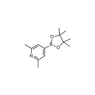 2,6-Dimethyl-4-(4,4,5,5-tetramethyl-1,3,2-dioxaborolan-2-yl)pyridine
