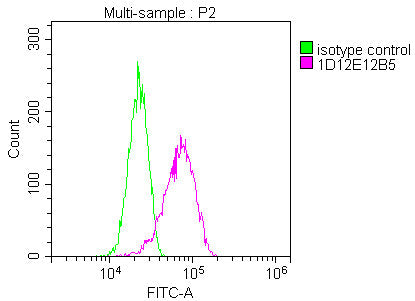 ACTB Monoclonal Antibody