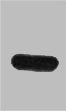 TAP Tag Monoclonal Antibody