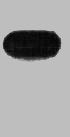 HA-Tag Monoclonal Antibody