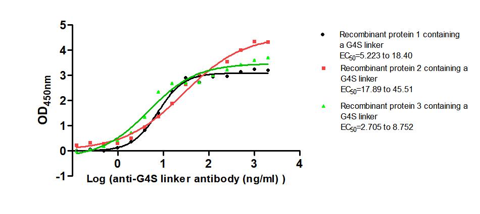 G4S linker Monoclonal Antibody