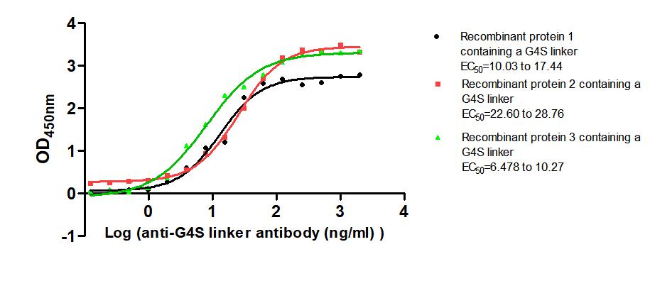 G4S linker Monoclonal Antibody
