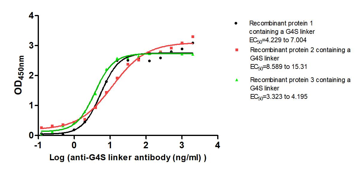 G4S linker Monoclonal Antibody