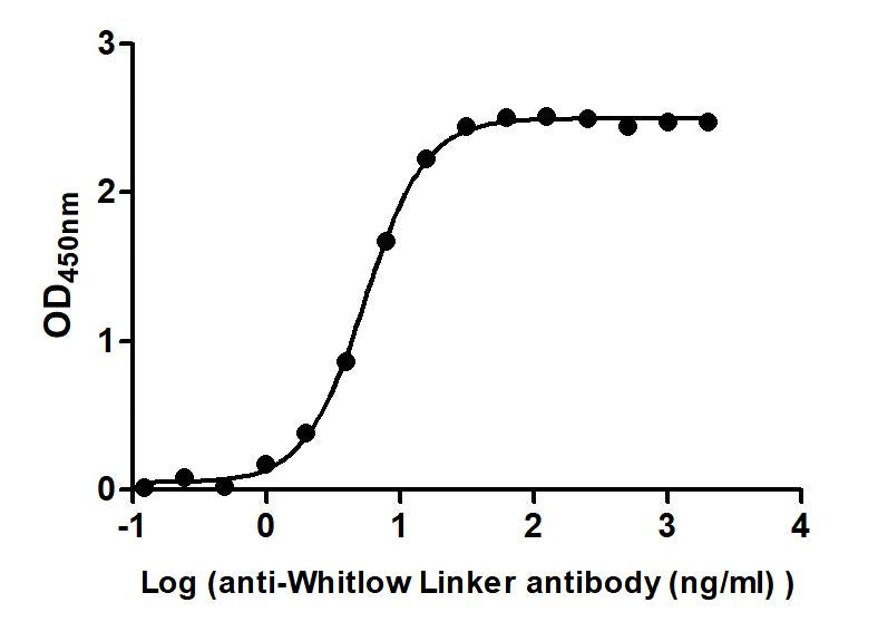 Whitlow linker Monoclonal Antibody