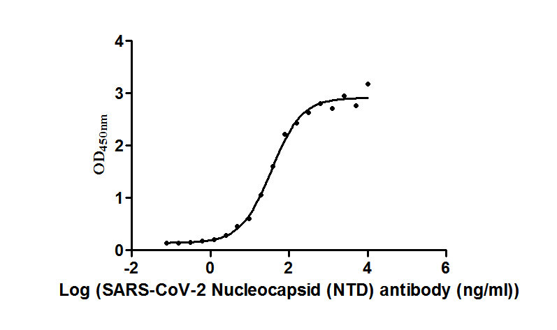 Nucleoprotein (NTD) Antibody