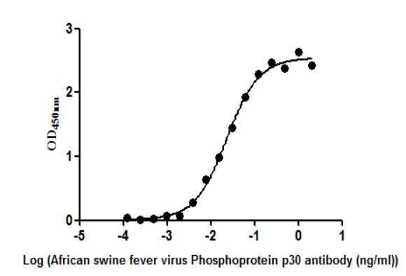 African swine fever virus Phosphoprotein p30(Ba71V-93) Monoclonal Antibody