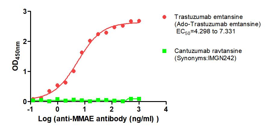 DM1 Monoclonal Antibody