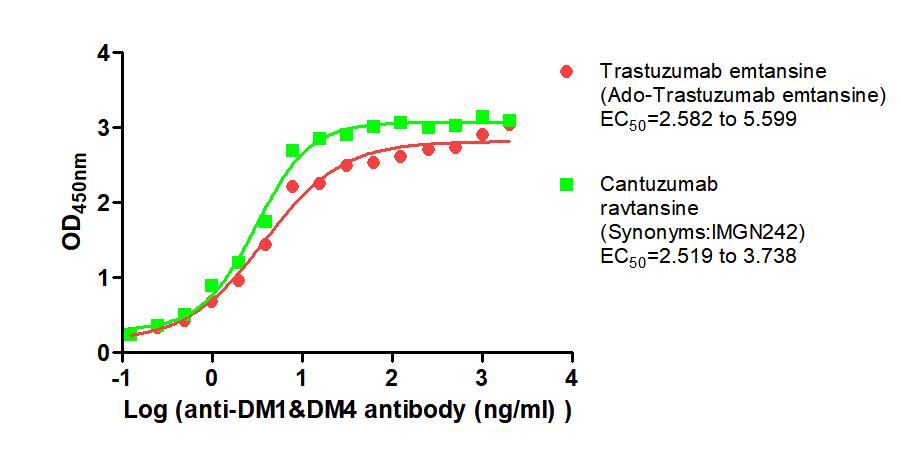 DM1&DM4 Monoclonal Antibody