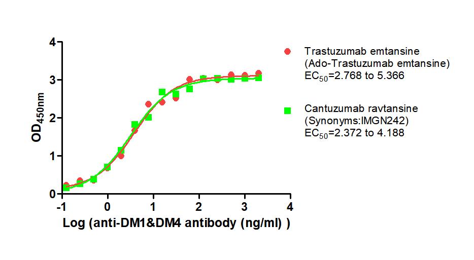 DM1&DM4 Monoclonal Antibody
