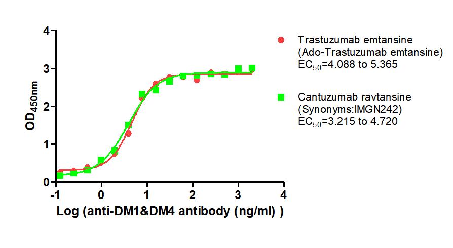 DM1&DM4 Monoclonal Antibody