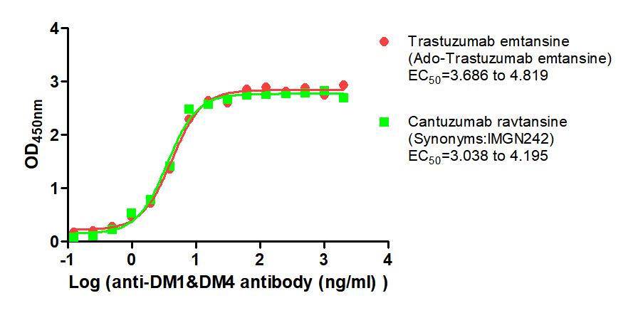 DM1&DM4 Monoclonal Antibody