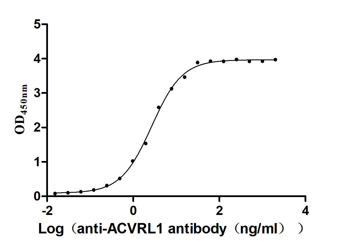 ACVRL1 Recombinant Monoclonal Antibody