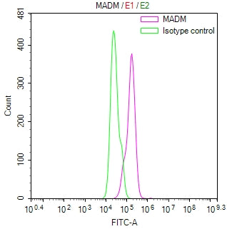 ADAM10 Recombinant Monoclonal Antibody