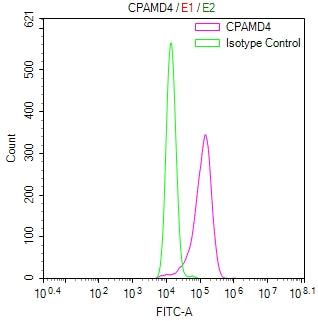 C5 Recombinant Monoclonal Antibody