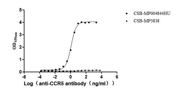 CCR5 Recombinant Monoclonal Antibody