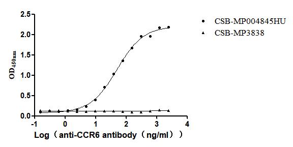 CCR6 Recombinant Monoclonal Antibody