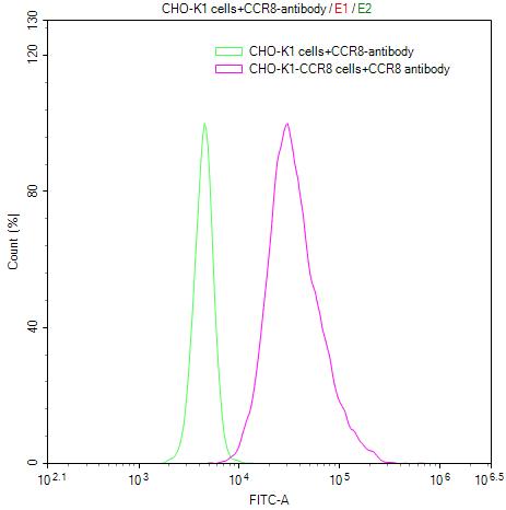 CCR8 Monoclonal Antibody