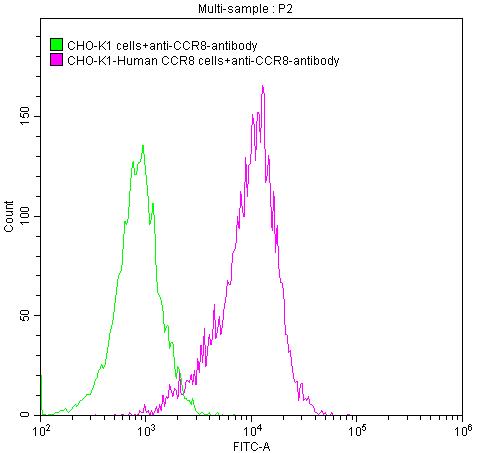 CCR8 Monoclonal Antibody